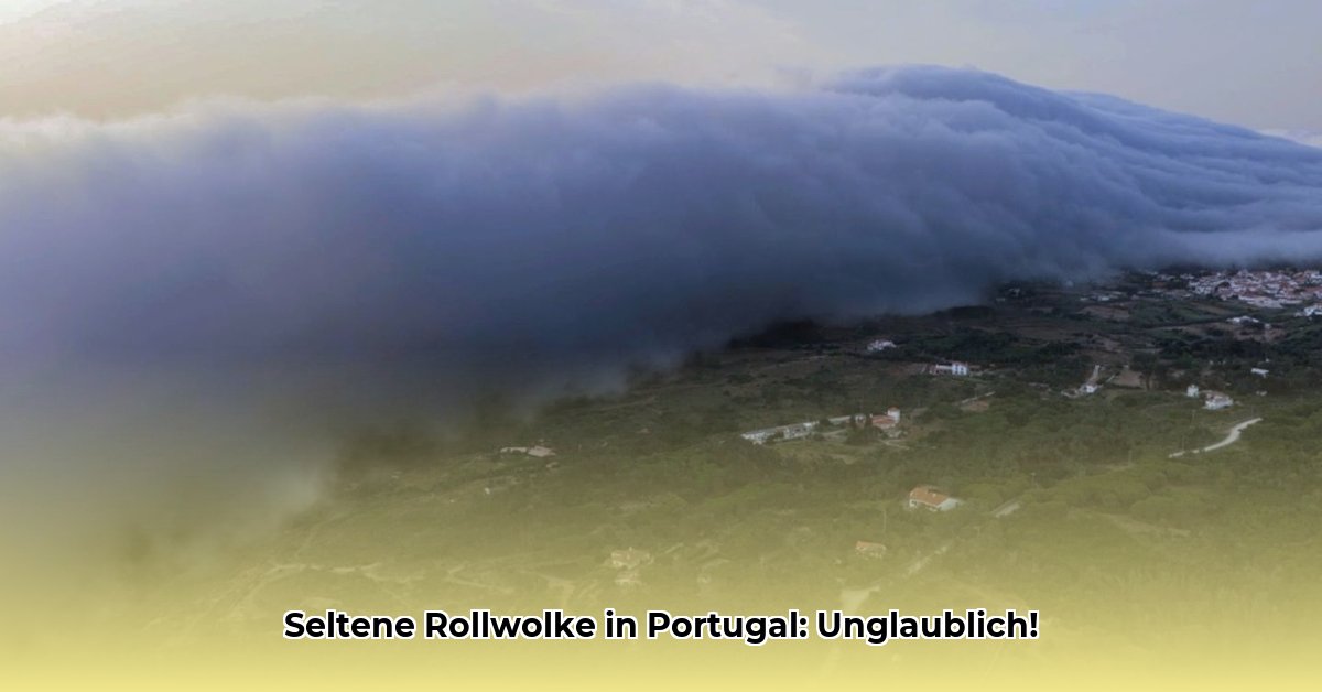 rollwolke-portugal